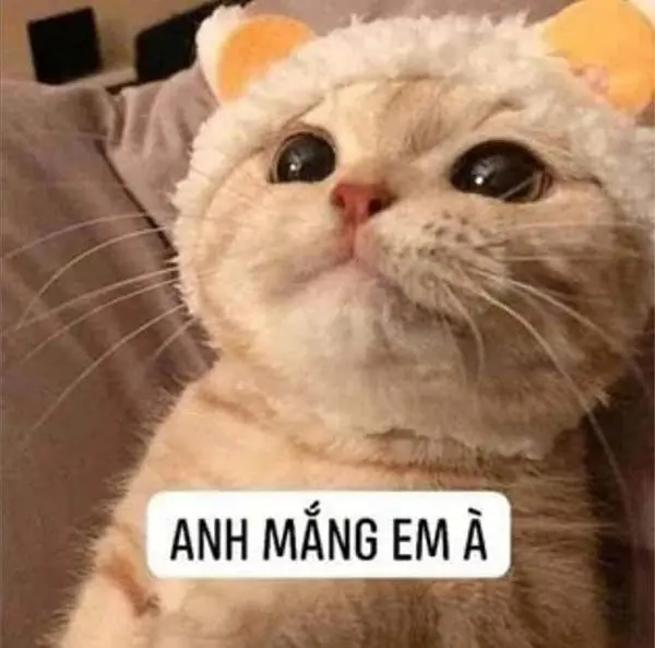 Meme phản ánh sự tức giận một cách hài hước