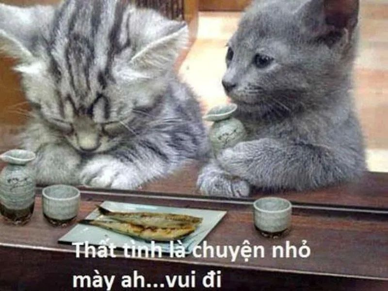 Meme ôm lấy sự thoải mái chân thành