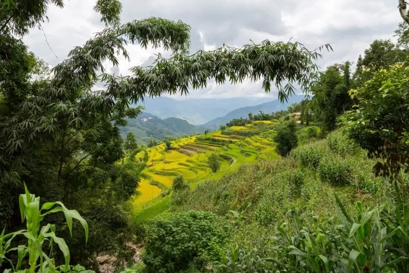 Cảnh quan núi đưa bạn vào thế giới có thiên nhiên hùng vĩ.