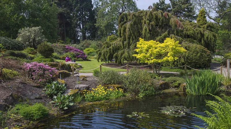 Phong cảnh của Bach Thao Garden, nơi giữ cho hơi thở của thiên nhiên.