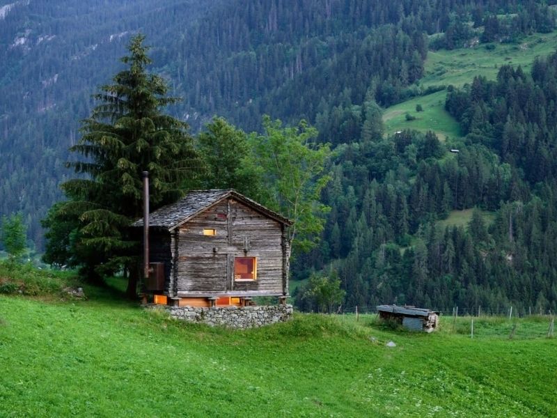 Photo Mountain Forest là một điểm nổi bật cho sự hùng vĩ của thiên nhiên