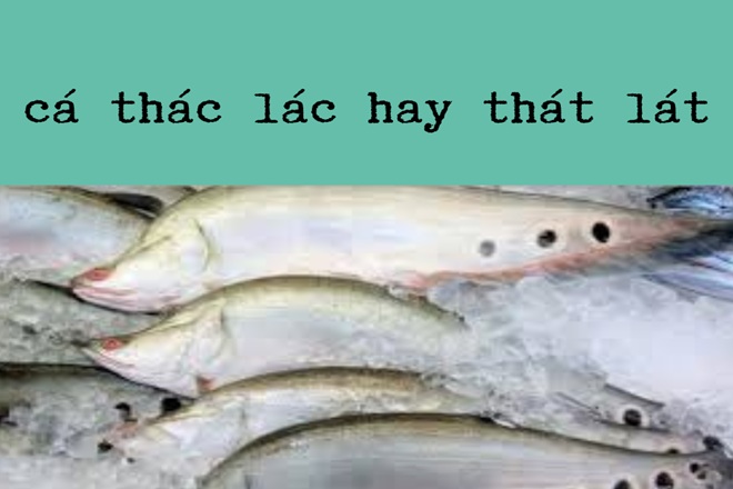 ca that lat hay thac lac