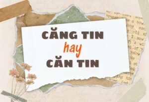 căng tin hay căn tin