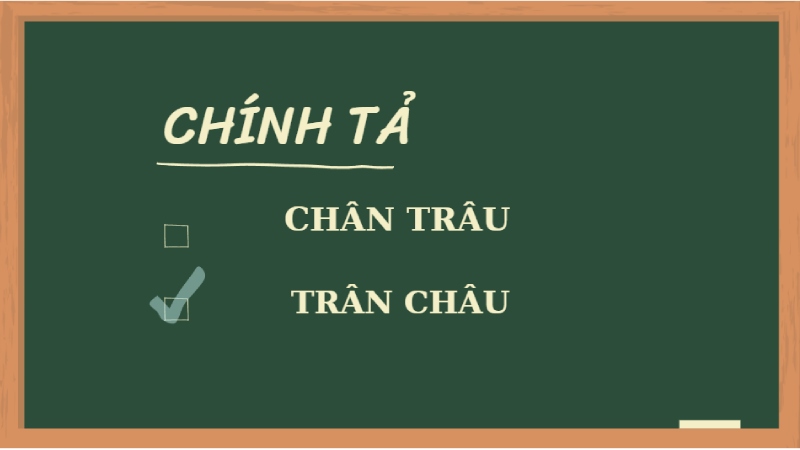 chân trâu hay trân châu