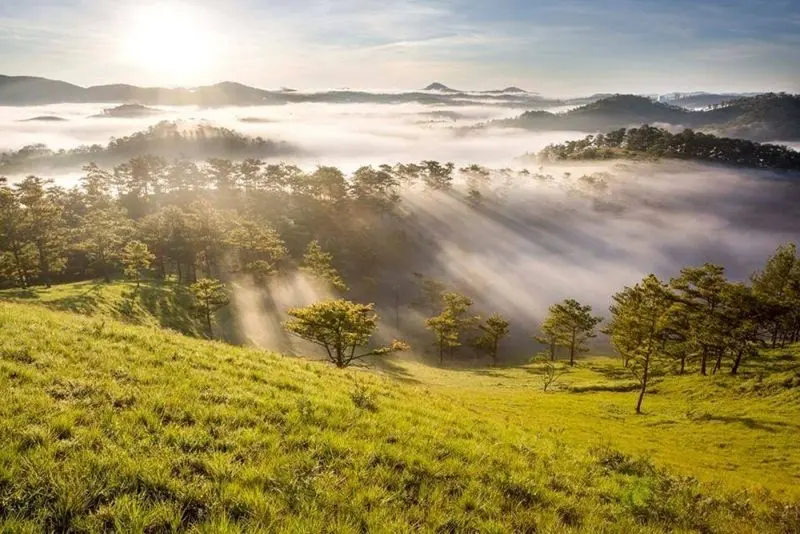 Mặt trời đến từ mặt trời mọc, tạo ra một ánh bình minh lãng mạn.