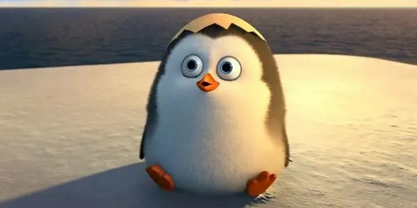 Gần hơn với mọi người thông qua Avatar Penguin dễ thương dễ thương.