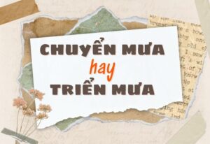 chuyển mưa hay triển mưa