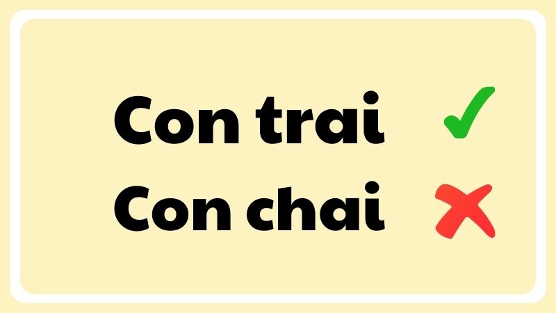 con trai hay con chai