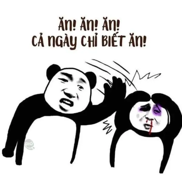 Meme tát cả ngày chỉ để ăn vui nhộn