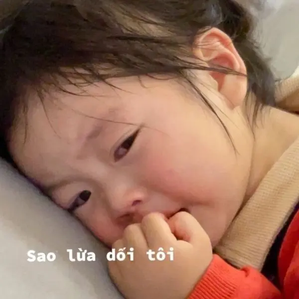 Meme Baby làm cho mọi người nói 