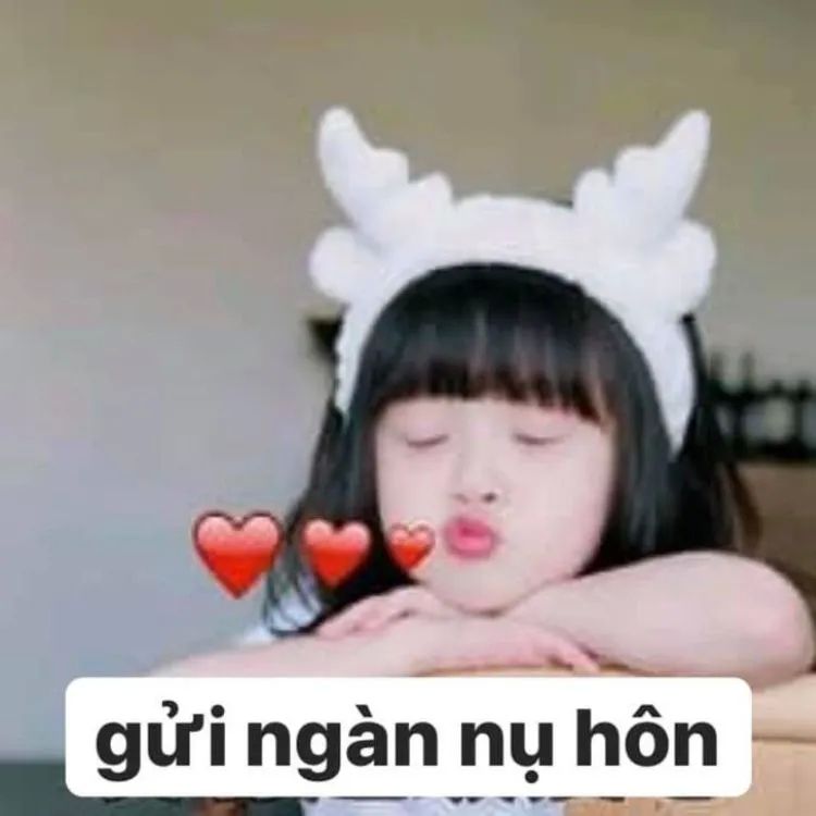 Tình yêu meme với câu nói hài hước