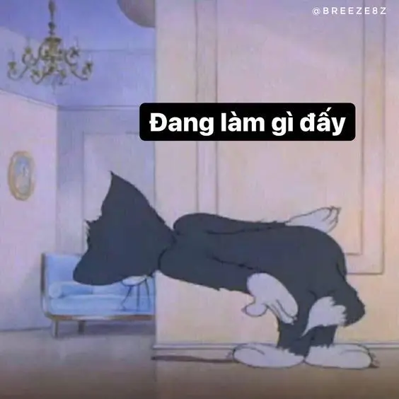 Tình yêu meme làm nổi bật các tính năng đáng yêu