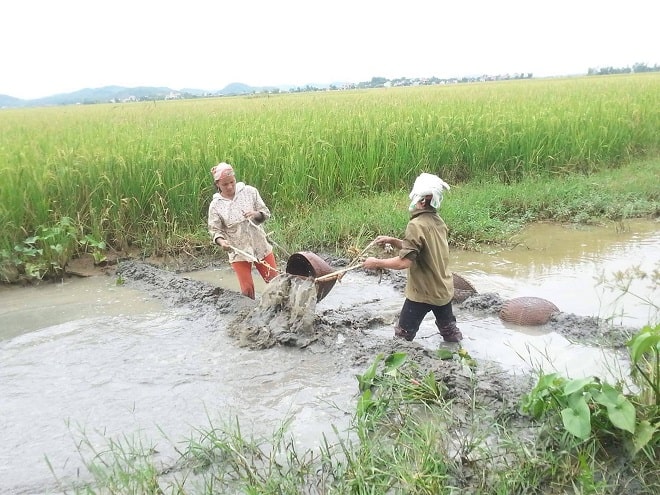 dich tieng nghe an ha tinh hay nhat