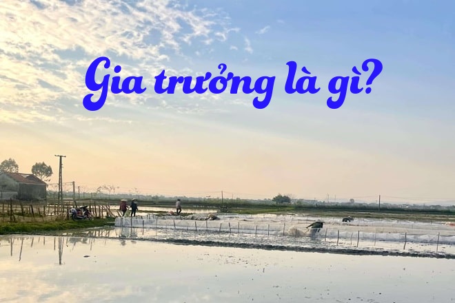 gia trưởng là gì