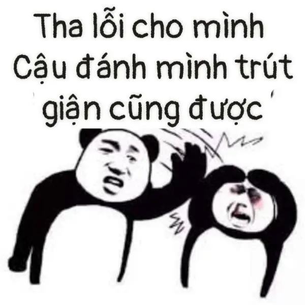 Meme xin lỗi vì mọi người phải cười