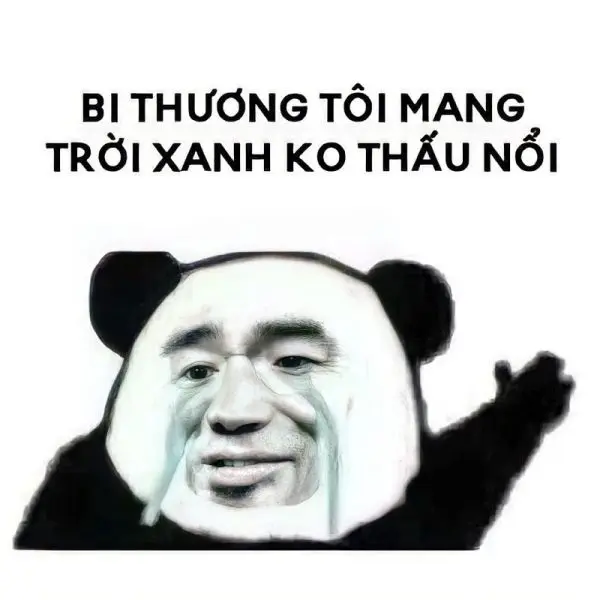 Meme xin lỗi để giúp phá vỡ tình hình