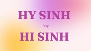 hy sinh hay hi sinh