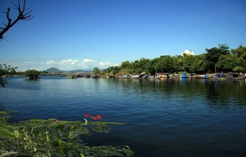 Sông nước hoa mang lại vẻ đẹp huyền ảo dưới ánh trăng