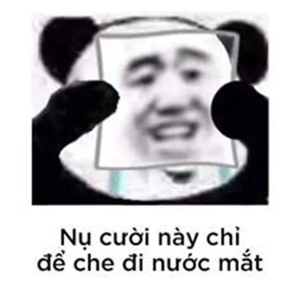 Meme buồn mang lại tiếng cười nhẹ nhàng