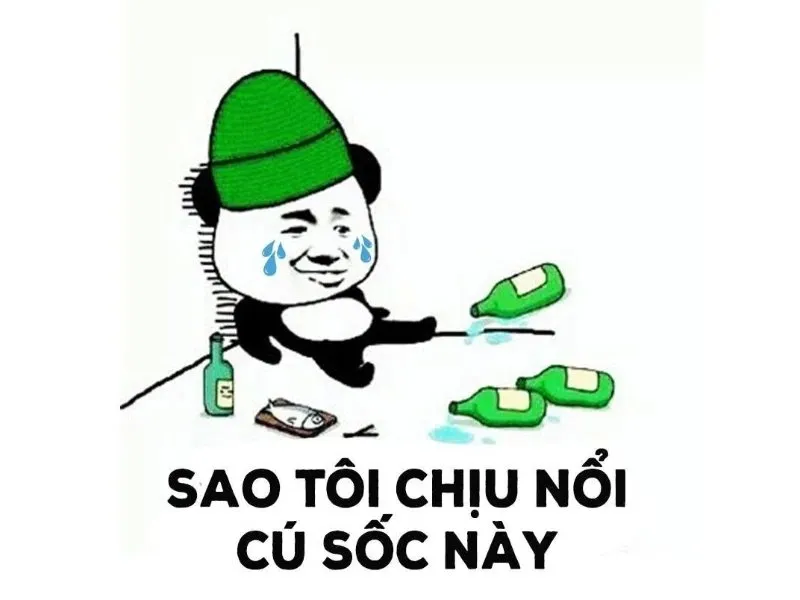 Meme buồn vui nhưng có ý nghĩa