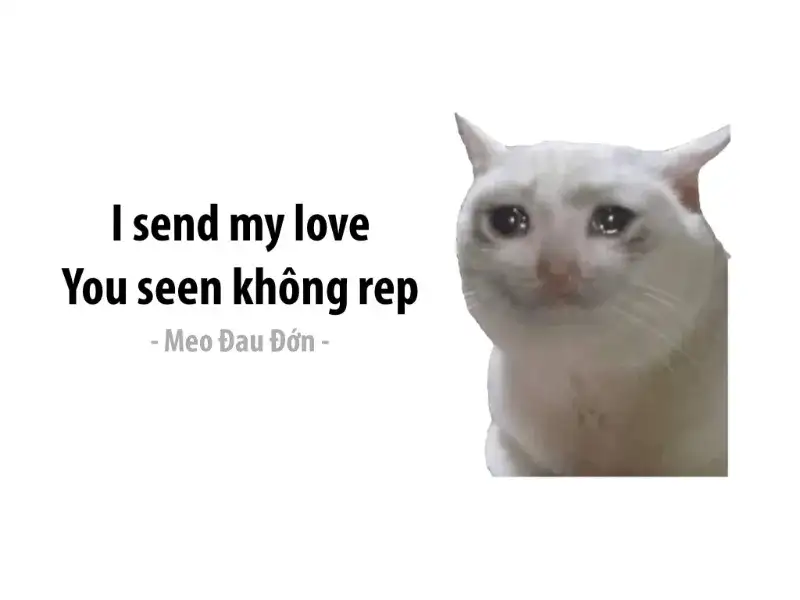 MEME MEME làm cho người xem phấn khích