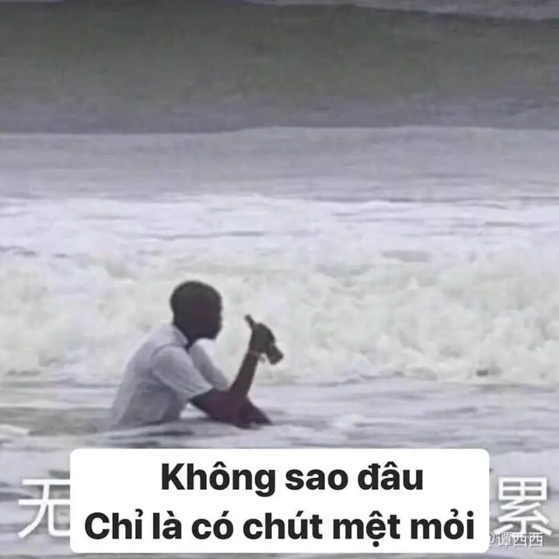 Meme mệt mỏi lan truyền niềm vui