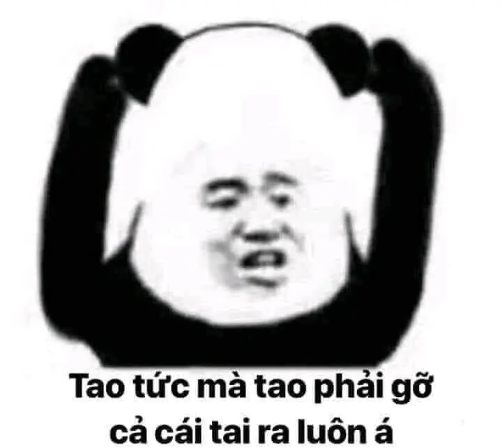 Meme Trung Quốc là nguồn cảm hứng vô tận