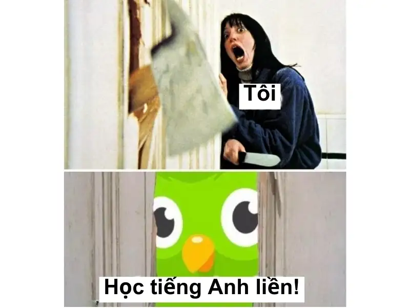 Duolingo Meme khuyến khích người học không từ bỏ