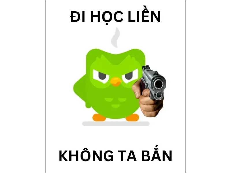 Duolingo meme bắt những bài học vui nhộn