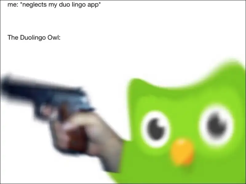 Duolingo Meme cầm súng