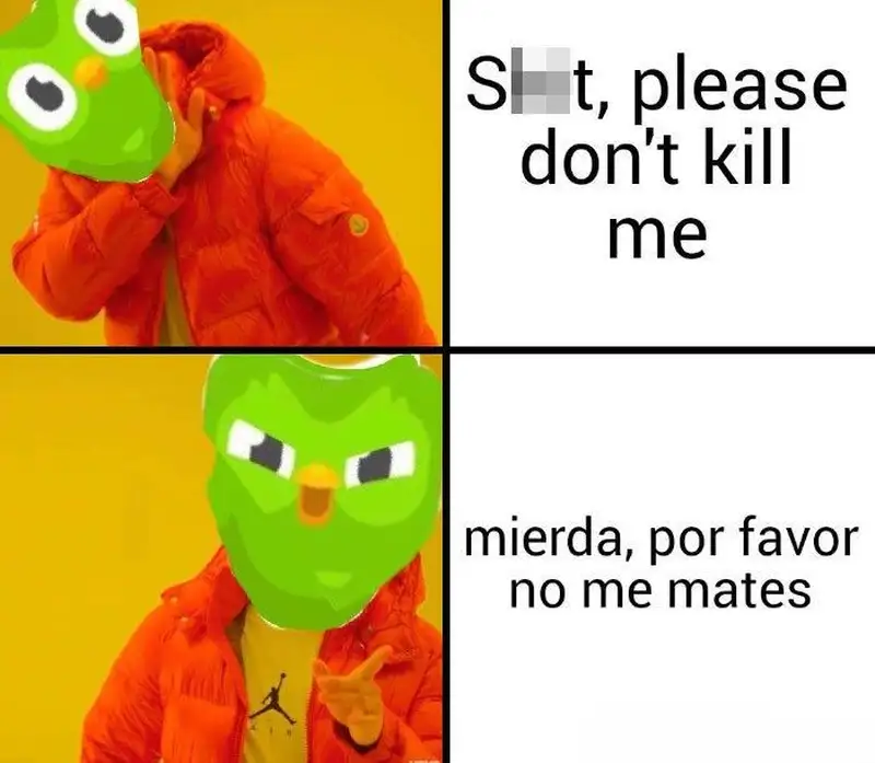 Duolingo Meme là độc đáo và thú vị