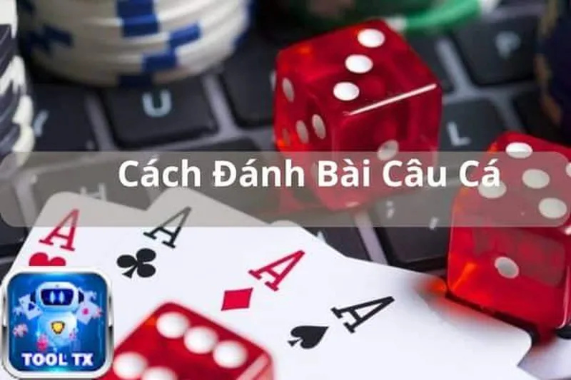 Khám phá cách chơi bài câu cá từ các bậc thầy về tiền khổng lồ 