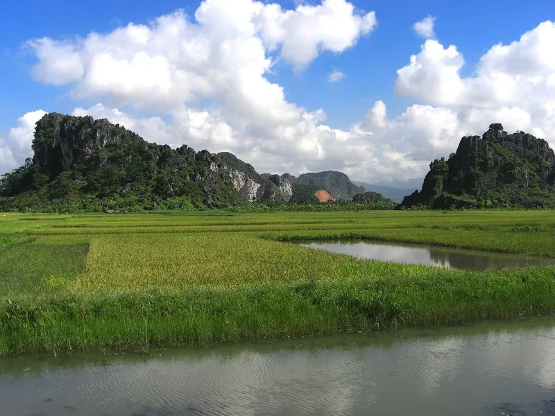 Vẻ đẹp đơn giản của vùng nông thôn Việt Nam là sự lựa chọn hoàn hảo cho màn hình của bạn.