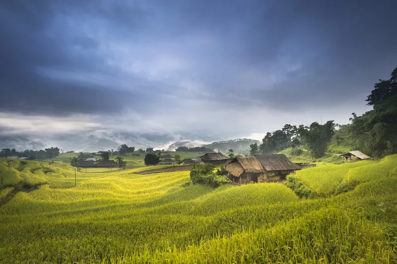 Gần hơn với thiên nhiên với hình nền nông thôn Việt Nam xinh đẹp.