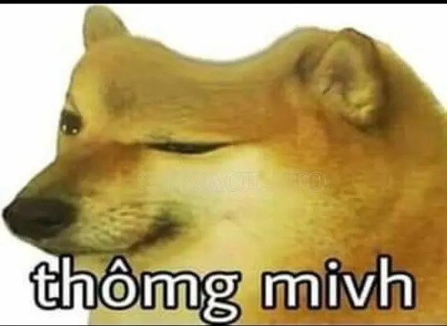 Meme Cheems Muddy và cực kỳ hài hước