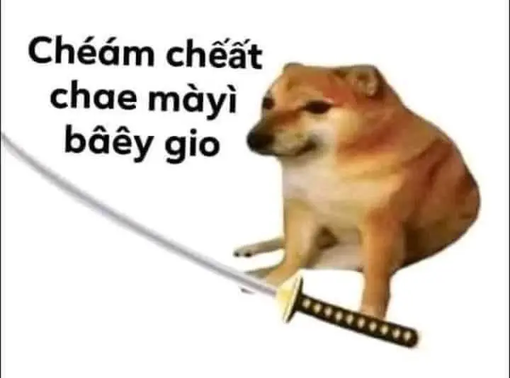 Cười không phải là meme Cheems