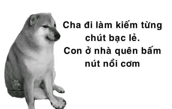 Meme Cheems giúp bạn giảm căng thẳng