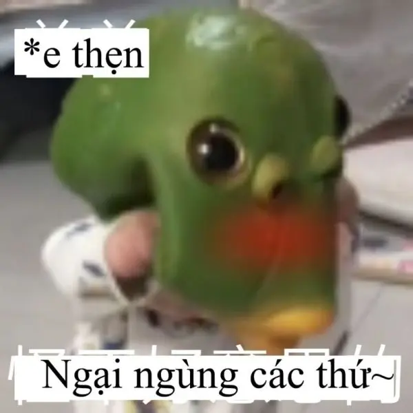 Meme sợ trong khoảnh khắc bối rối