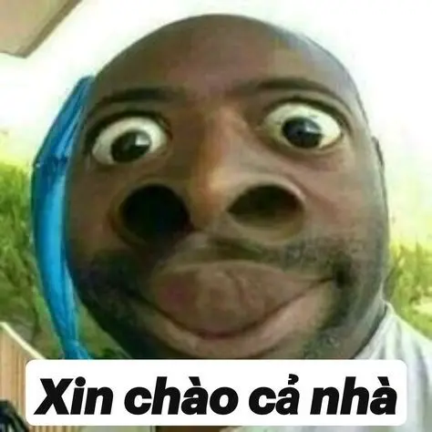 Meme được chào đón với những biểu cảm vui nhộn