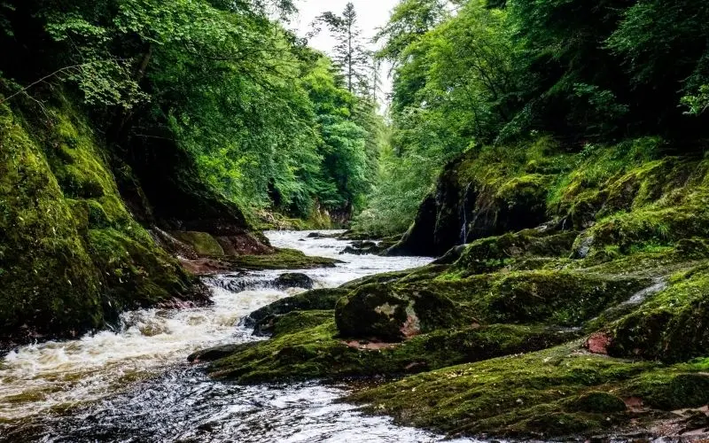 Phong cảnh của Stream Binh Binh giữa thiên nhiên hoang dã.