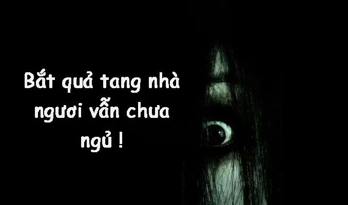 Meme Ngủ ngon cho những người yêu thích bí ẩn