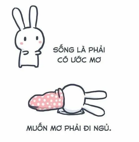 Meme ngủ ngon và dễ thương