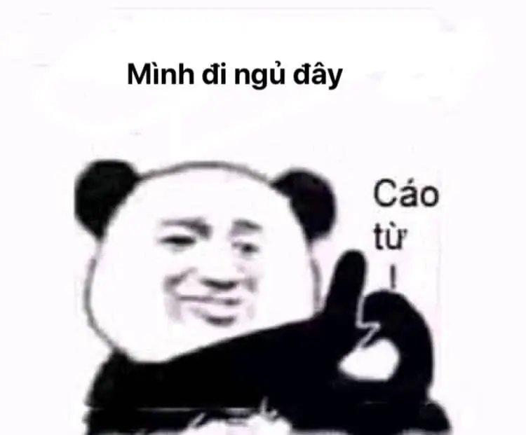 Chúc ngủ ngon Meme giúp bạn có một giấc mơ đẹp