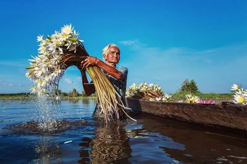 Hình ảnh của Việt Nam với dòng sông lãng mạn