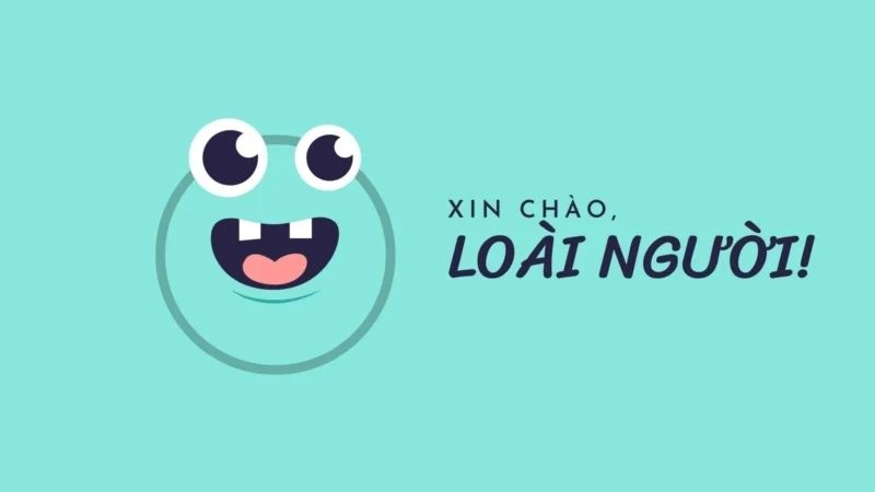 Hình nền meme dễ thương dễ thương cho máy tính