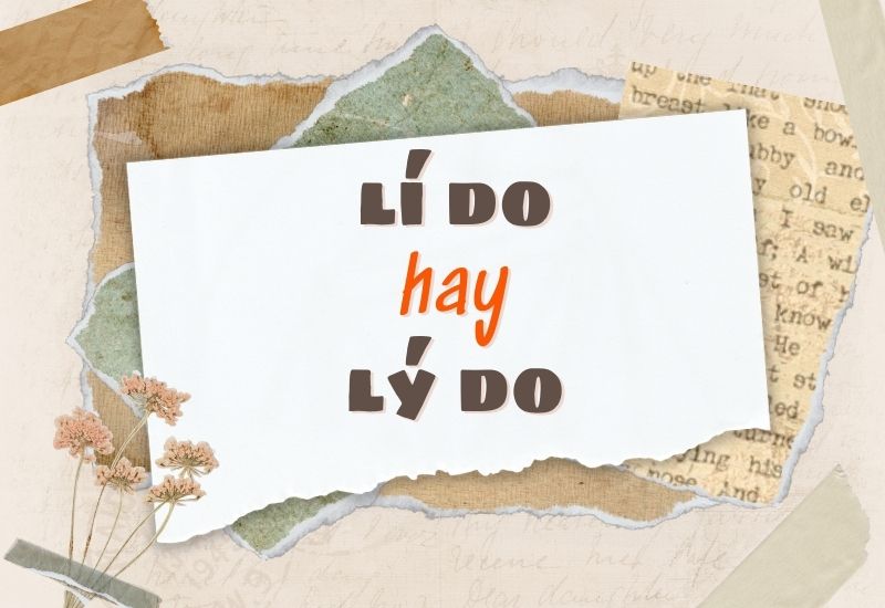 lí do hay lý do