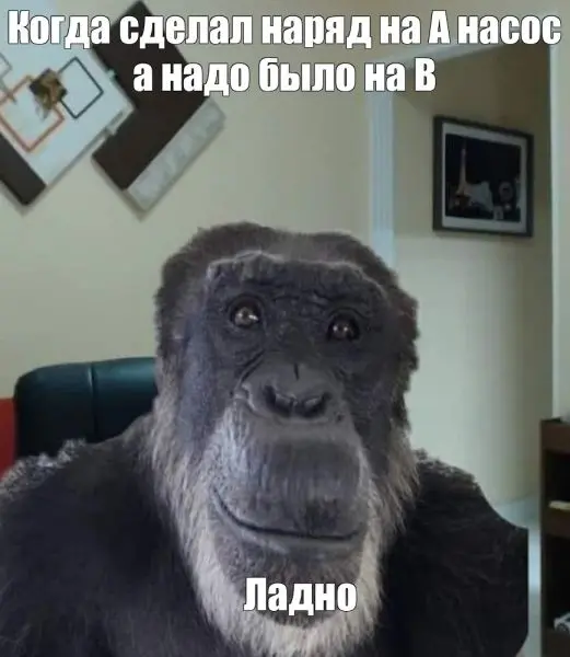 Monkey Meme gây sốt mạng xã hội