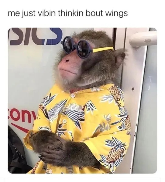 Meme Monkey nổi bật với khuôn mặt hài hước