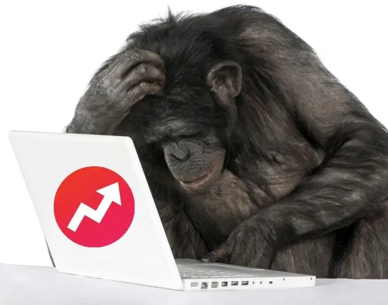 Monkey Meme với khuôn mặt ngạc nhiên