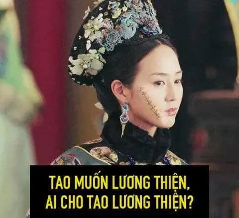 Meme nhu y những câu chuyện hài hước cho người hâm mộ của bộ phim